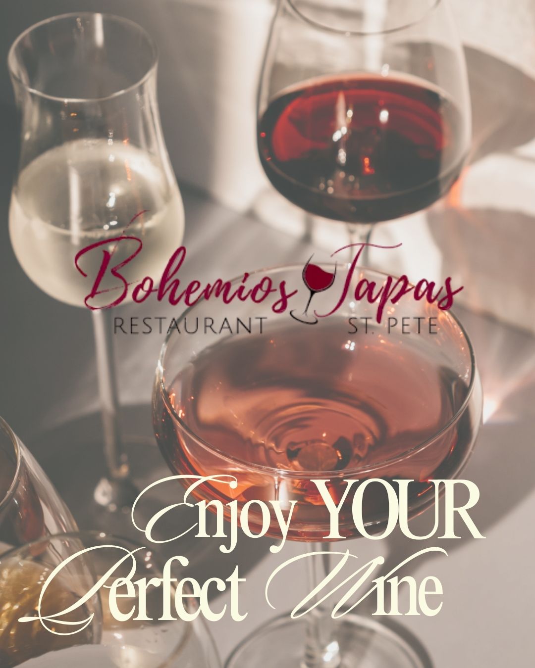 Cata de Vinos Españoles